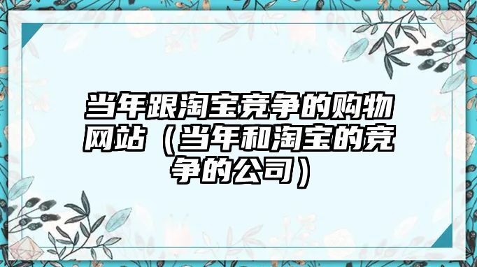 當年跟淘寶競爭的購物網(wǎng)站（當年和淘寶的競爭的公司）