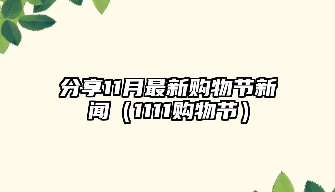 分享11月最新購物節(jié)新聞（1111購物節(jié)）