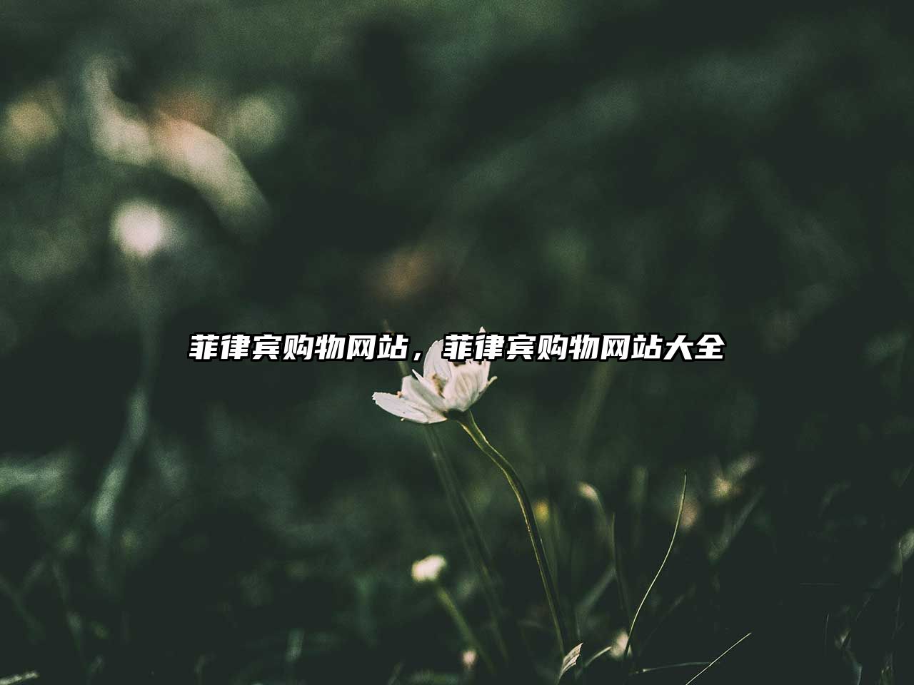 菲律賓購(gòu)物網(wǎng)站，菲律賓購(gòu)物網(wǎng)站大全