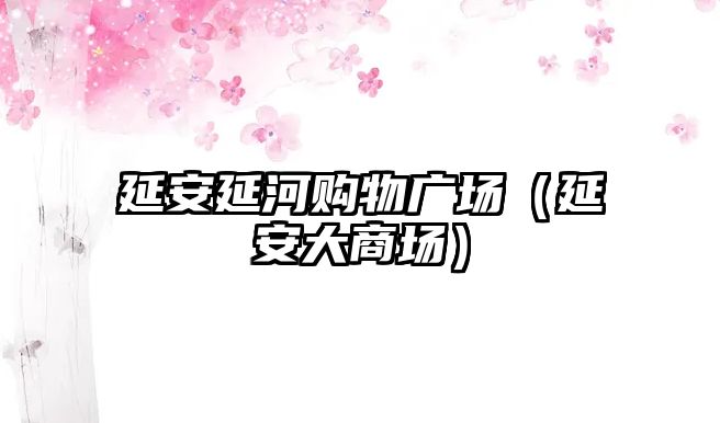 延安延河購物廣場（延安大商場）