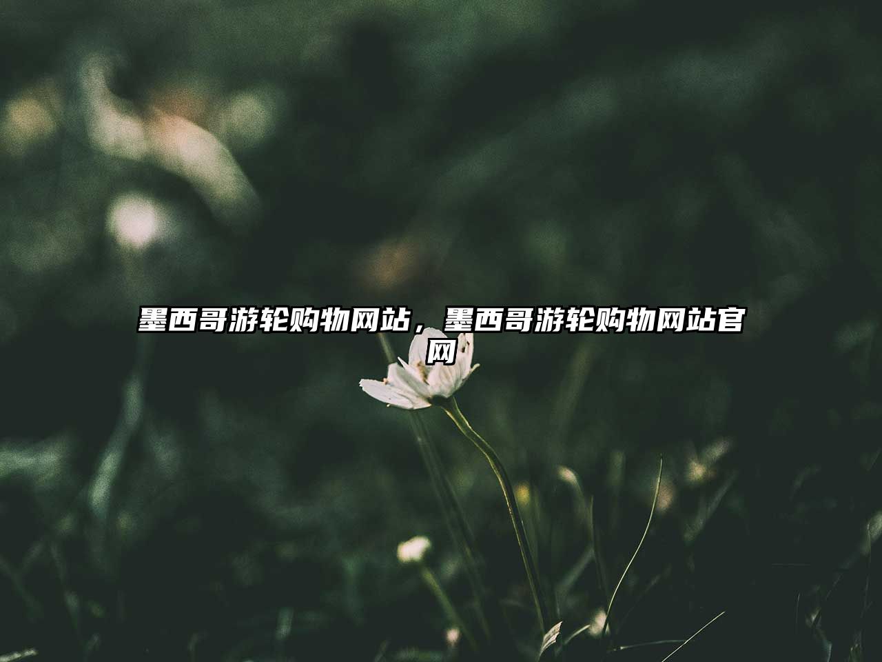 墨西哥游輪購(gòu)物網(wǎng)站，墨西哥游輪購(gòu)物網(wǎng)站官網(wǎng)