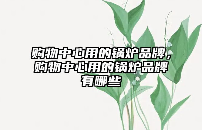 購物中心用的鍋爐品牌，購物中心用的鍋爐品牌有哪些