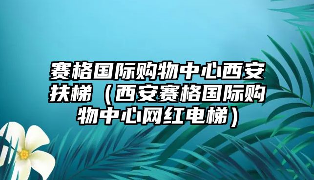 賽格國際購物中心西安扶梯（西安賽格國際購物中心網(wǎng)紅電梯）